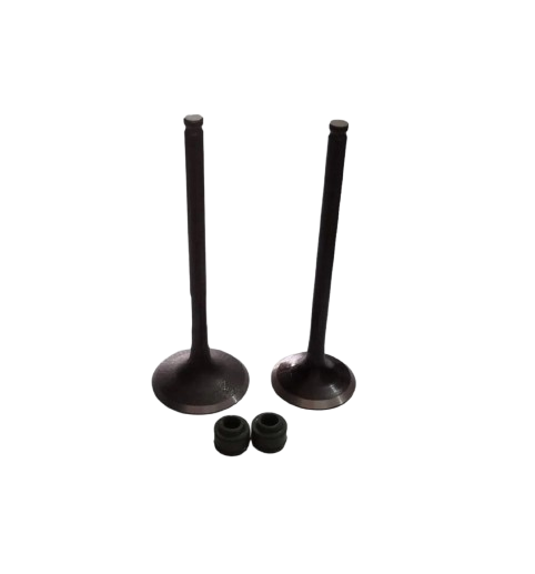 Kit de Válvulas Hunk 160R/ Hunk 150/ M04050004/M04050005/M04020003