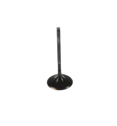 Valvula de Escape Xpulse 200 FI/ Xpulse 200/ Xpulse 200T/ Xpulse 200X/ Hunk 190R/ M04050002