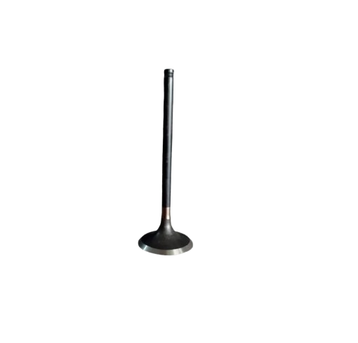 Valvula de Escape Xpulse 200 FI/ Xpulse 200/ Xpulse 200T/ Xpulse 200X/ Hunk 190R/ M04050002