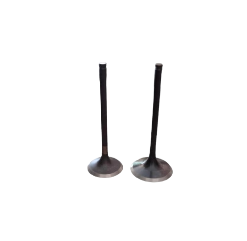 Juego de Válvulas / M04050001/M04050002