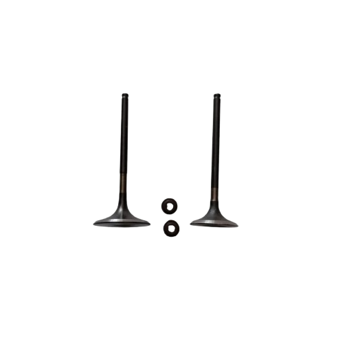 Kit de Válvulas para Xpulse 200 FI/ Xpulse 200/Xpulse 200T/ Xpulse 200X/Hunk 190R/ (M04050001/M04050002/M04030005)