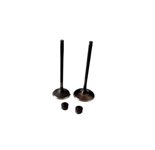 Kit de Válvulas para Xpulse 200 FI/ Xpulse 200/Xpulse 200T/ Xpulse 200X/Hunk 190R/ (M04050001/M04050002/M04030005)