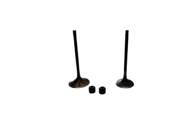 Kit de Válvulas para Xpulse 200 FI/ Xpulse 200/Xpulse 200T/ Xpulse 200X/Hunk 190R/ (M04050001/M04050002/M04030005)