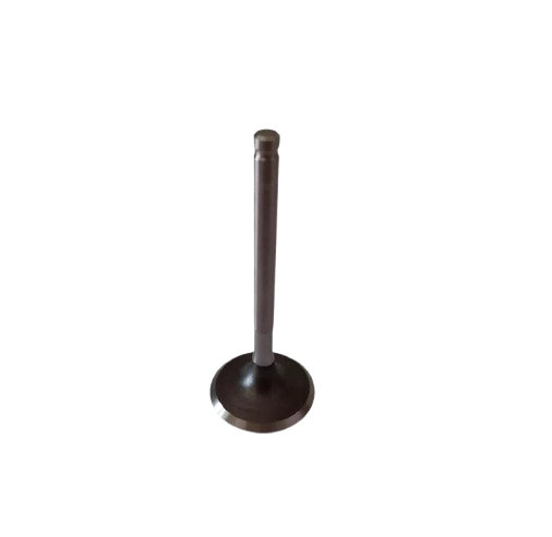 Juego de Válvulas Ignitor 125/ M04050006/M04050007