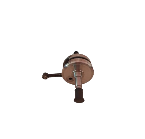 Conjunto Cigueñal / M08020001