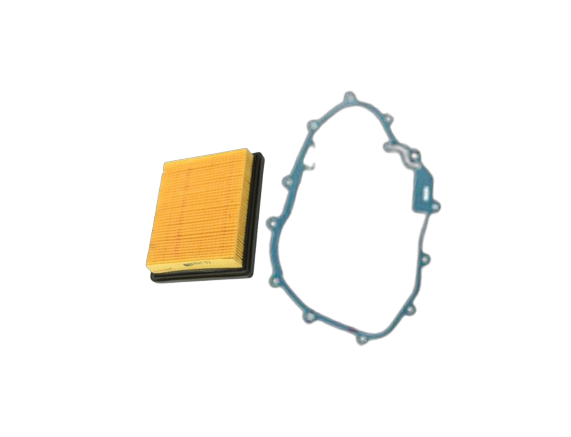 Kit Mantenimiento Ignitor 125 / C08010008/M10030015