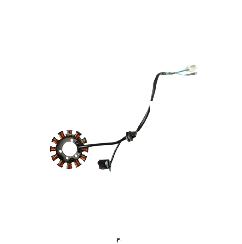 Estator 12 Bobinas / M05010002