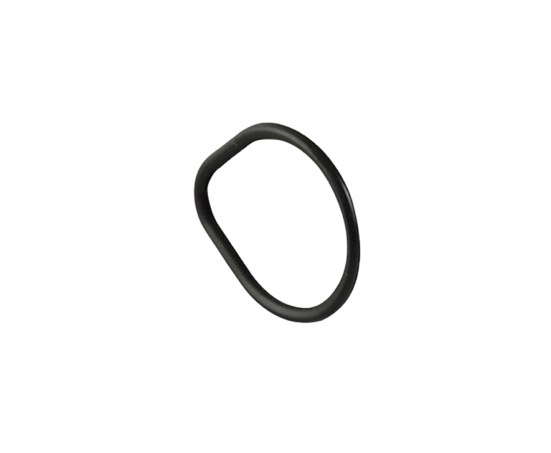 O-ring / M02030019