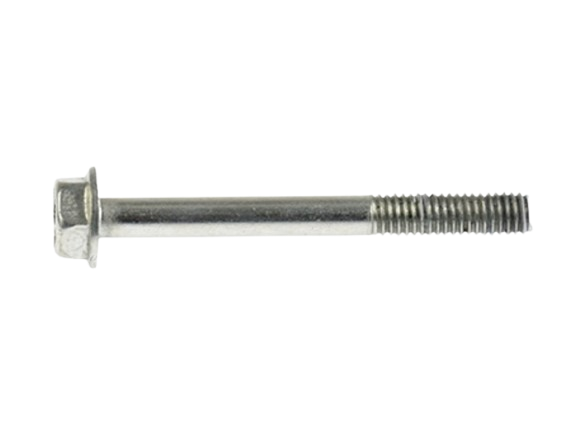 Tornillo M6X55 / M10060010