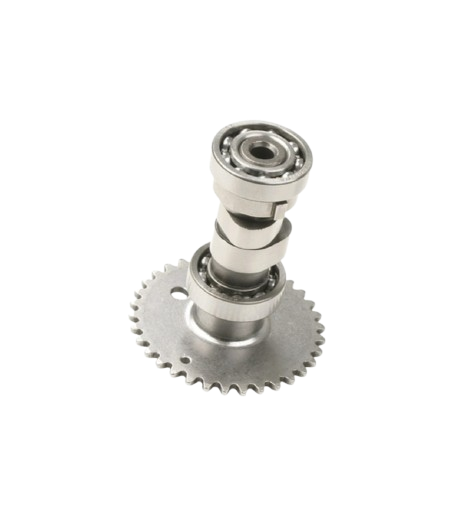 Arbol Levas / E04010003