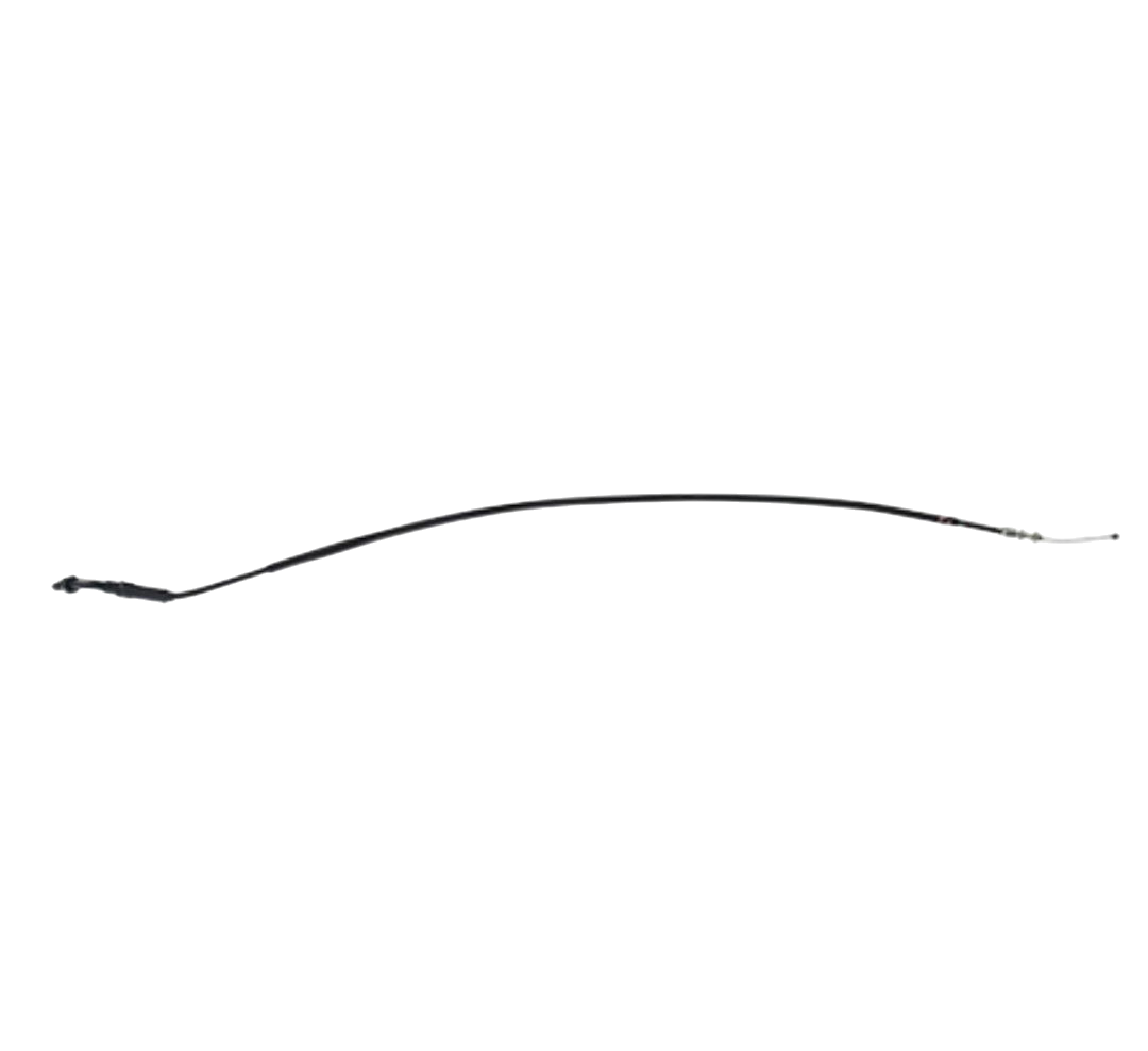 Chicote Acelerador / C04030047