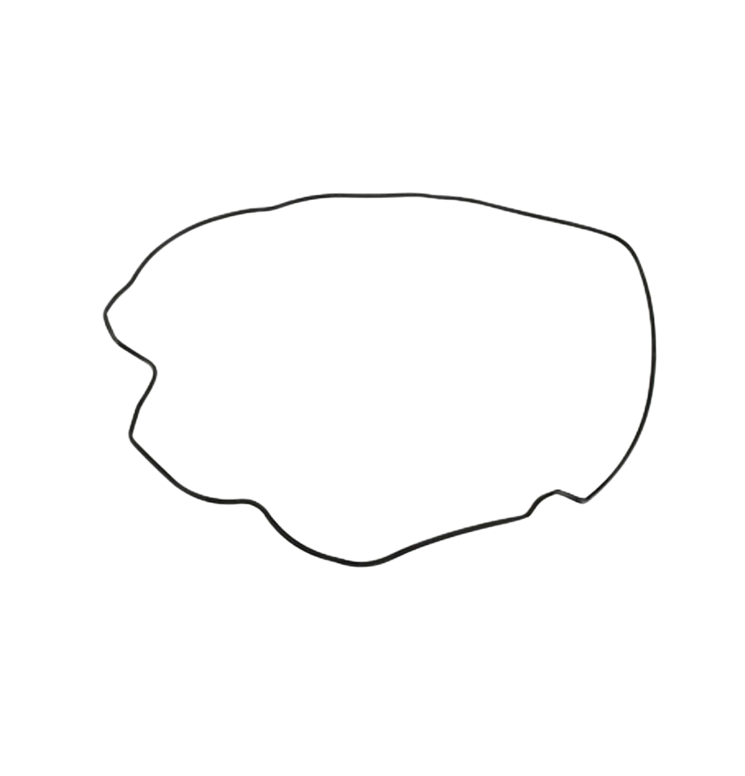 Junta Filtro Aire / C08010004