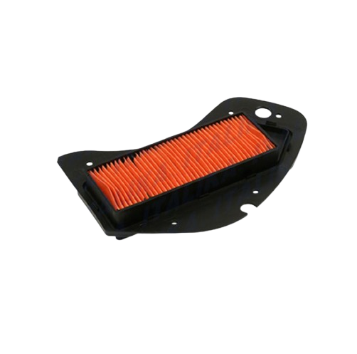 Elemento Filtrante / F08010154