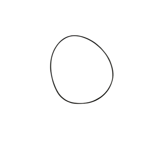 O-ring 72X2.1 / M02030020