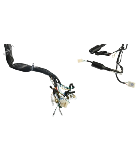 Arnes Principal / C06050024