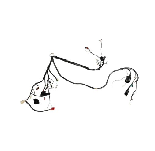 Arnes Principal / C06050028