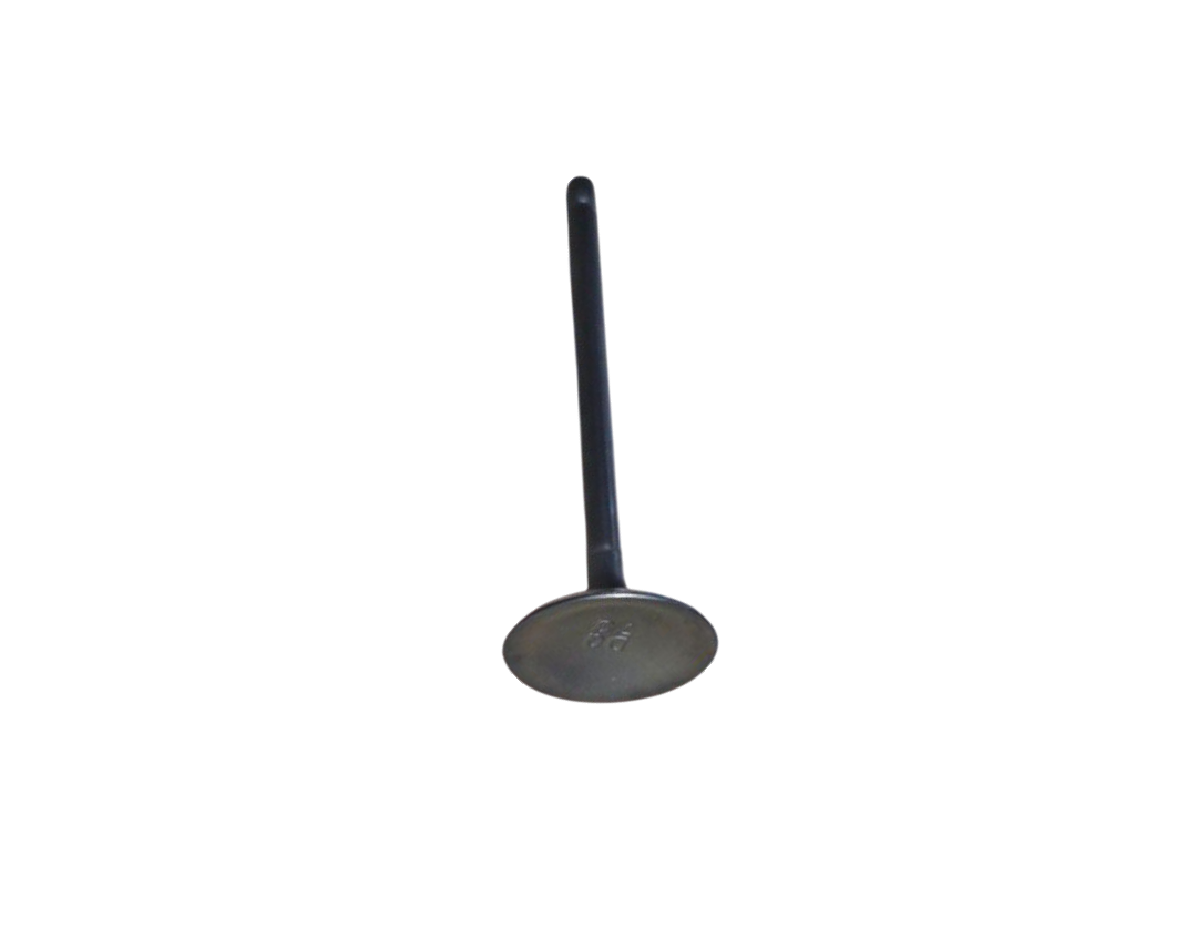 Válvula De Admision / VM01050047