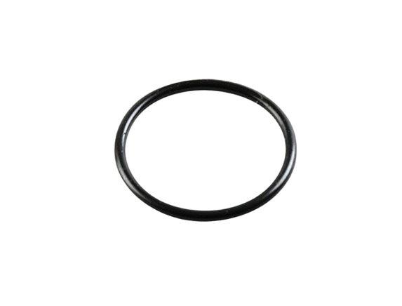 O-RING / C01060016
