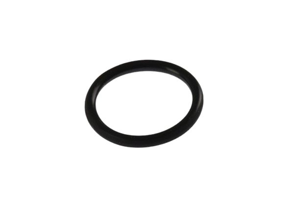 O-Ring / C01060011