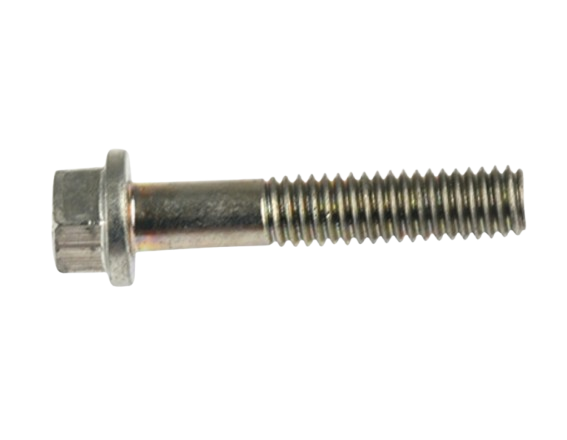 Tornillo M6X30 / M10060005