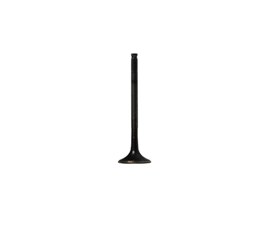 Válvula Escape / M04050056