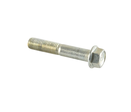Tornillo M10X55 / C02070010