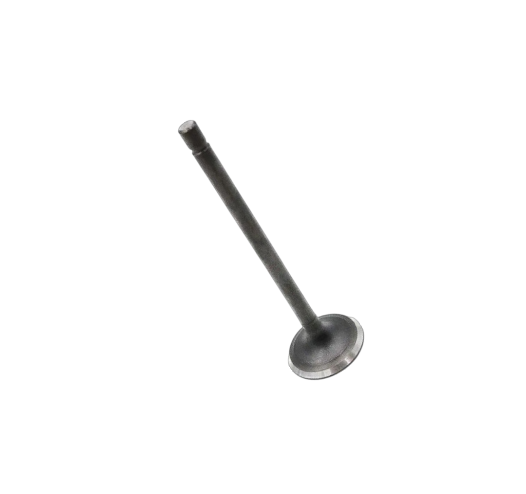 Válvula De Escape / VM01050048