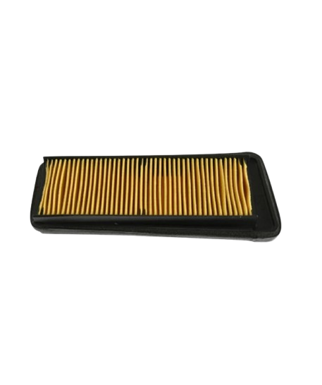 Elemento Filtrante / C08010002