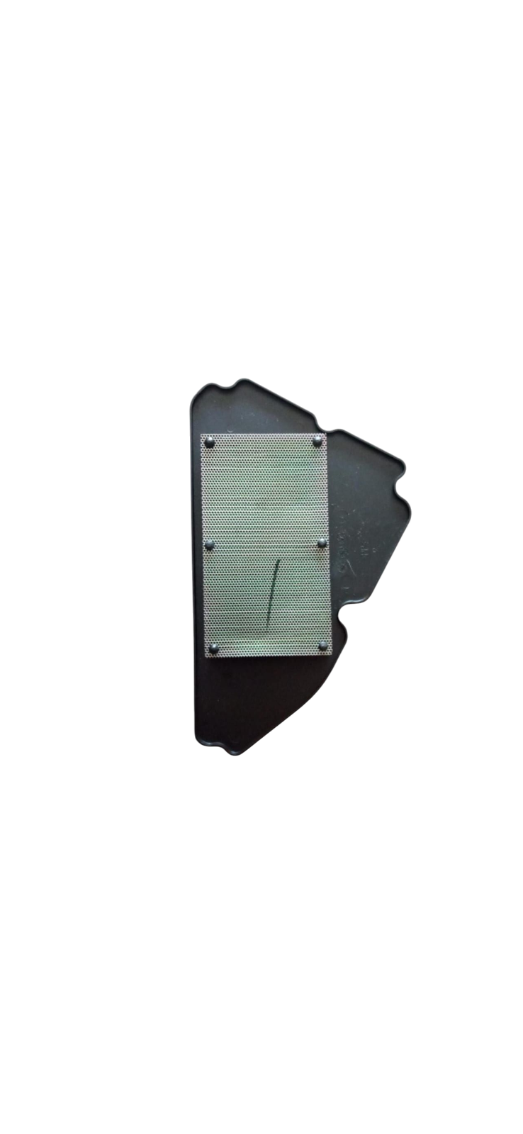 Elemento Filtrante/ C08010058