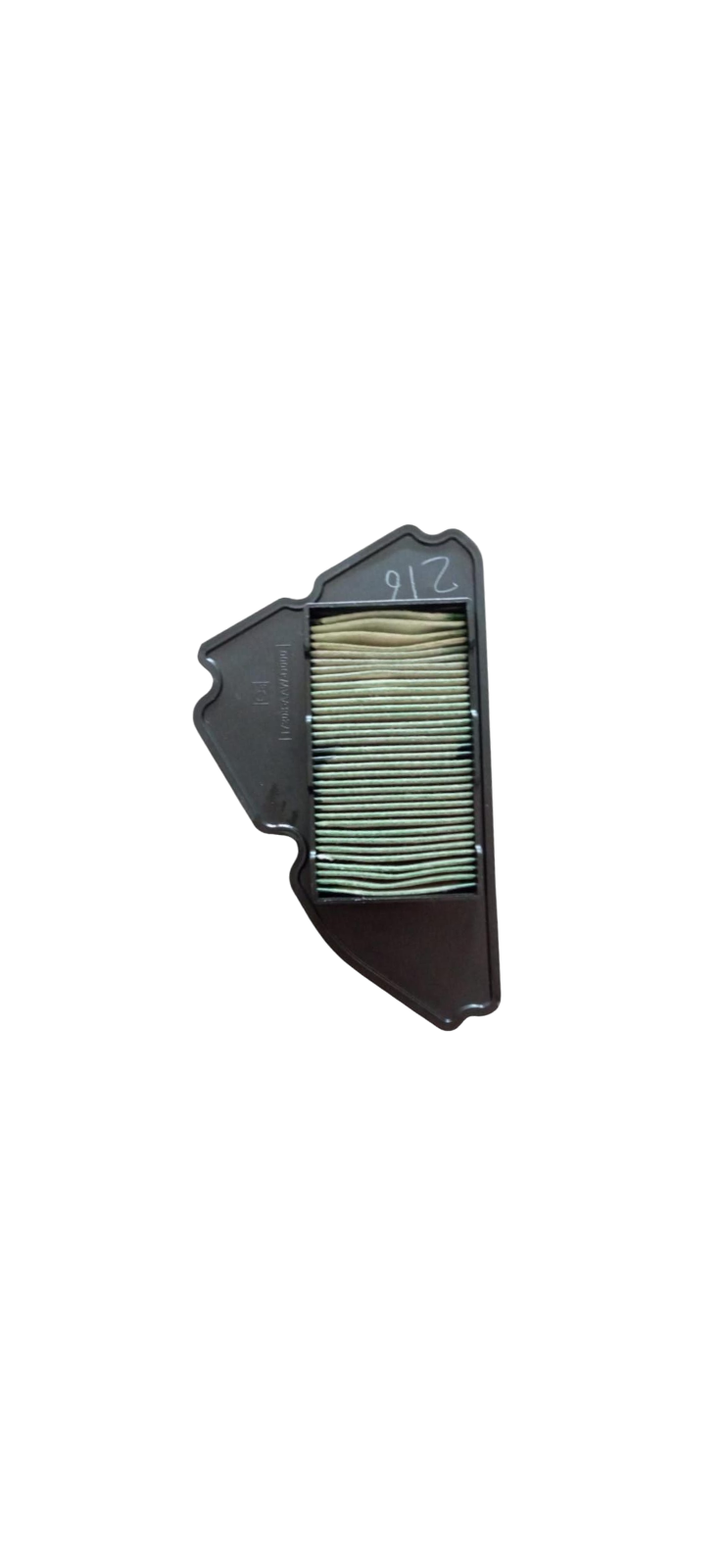 Elemento Filtrante/ C08010058