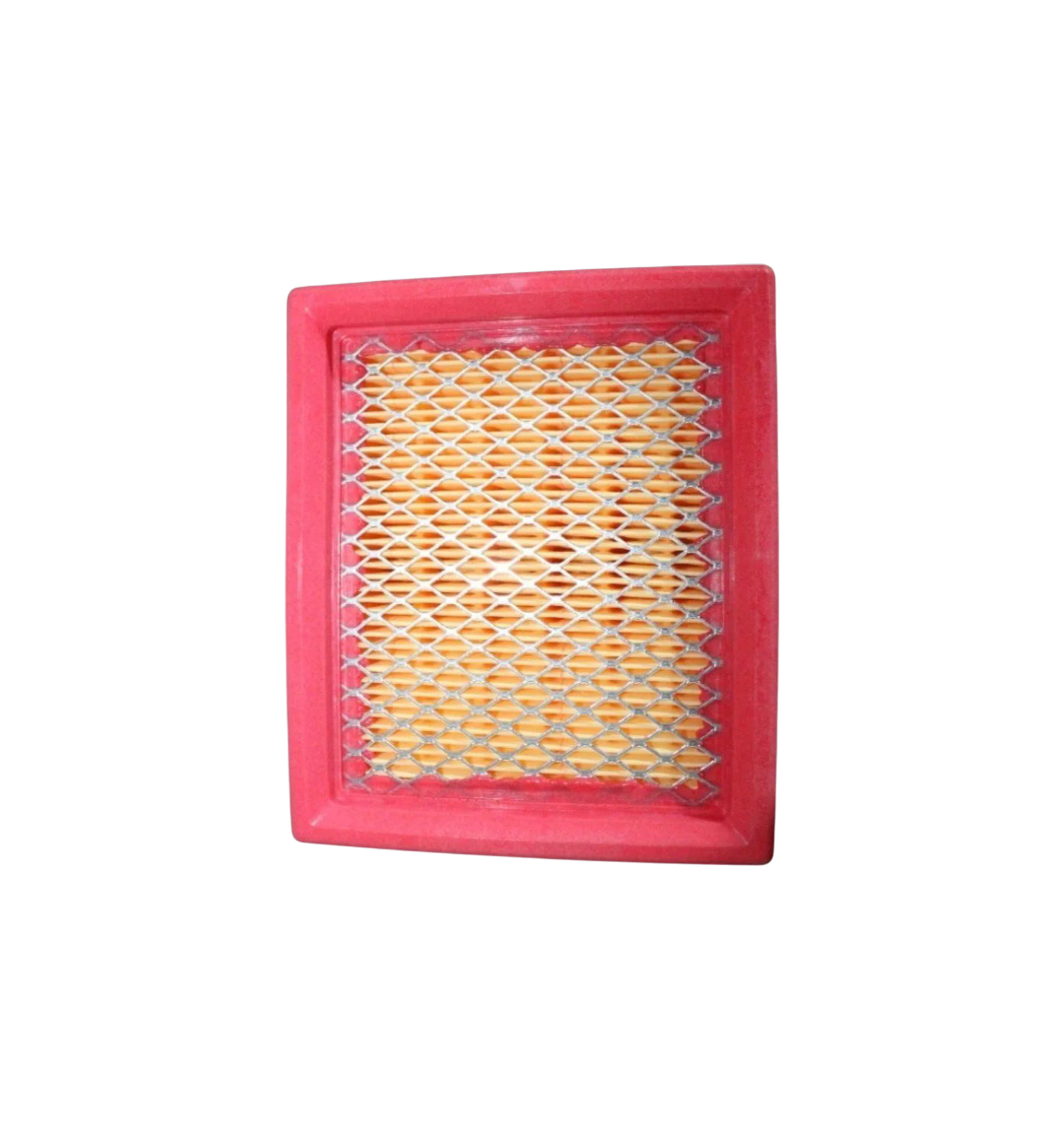 Elemento Filtrante / VC01010001