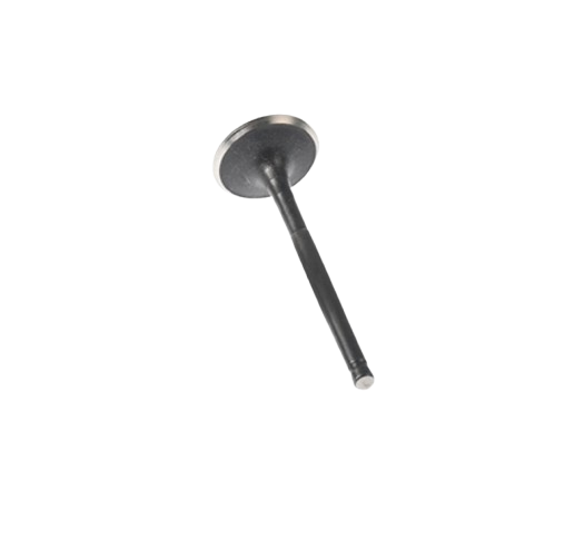 Válvula Escape / M04050016