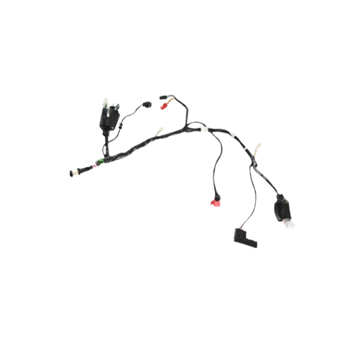 Arnes Principal / C06050003