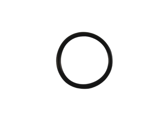 O-Ring / C01060011