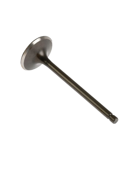 Válvula Admisión / E04050068