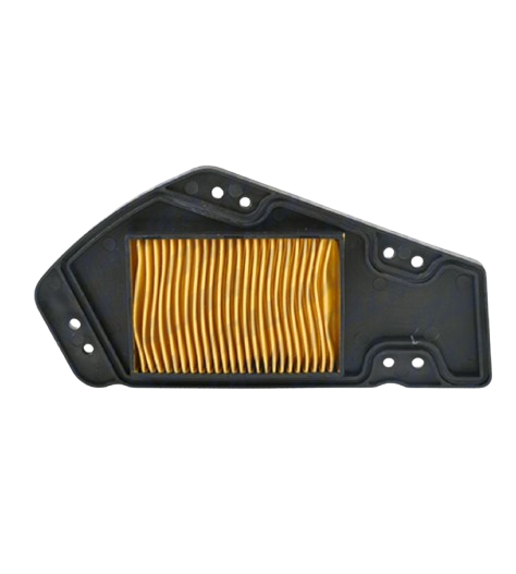 Elemento Filtrante / F08010234