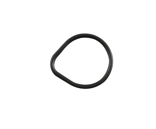 O-ring / M02030019