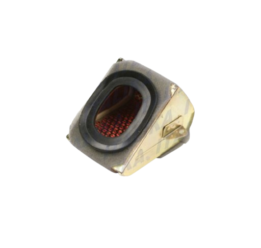 Elemento Filtrante / F08010032