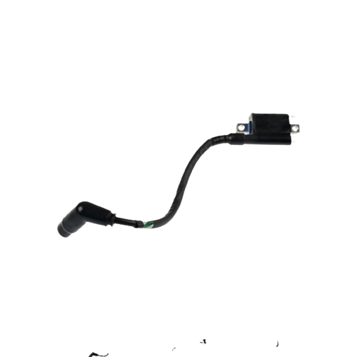 Bobina Ignición / C06060029