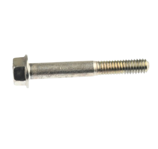 Tornillo 8X55 / C05030021