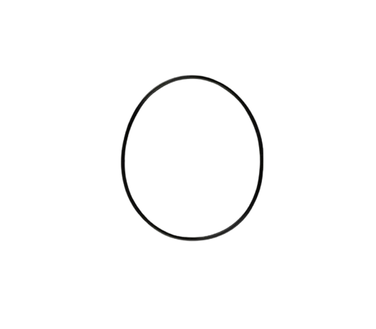 O-Ring 49.5X1.7 / M09030004