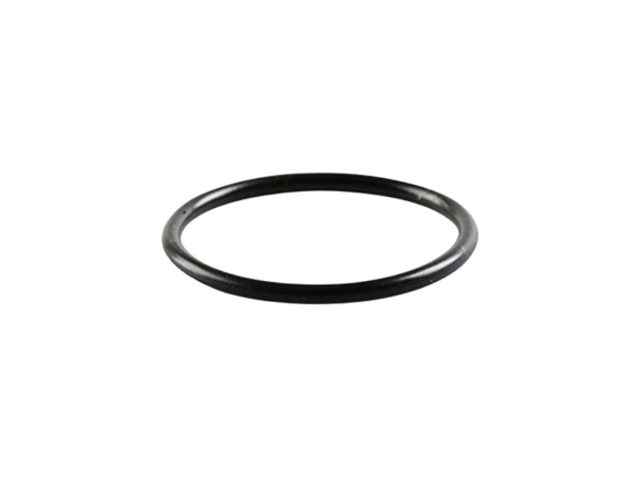 O-RING / C01060016