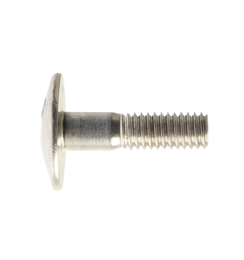 Tornillo Especial M6X22 / C05030015