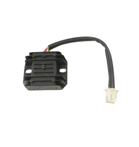 Rectificador Conjunto / F06030008