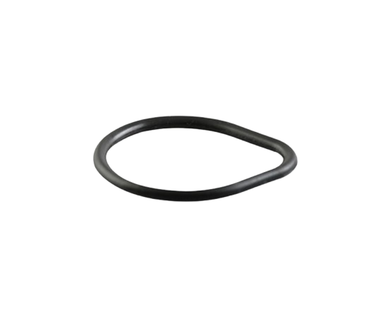 O-ring / M02030019