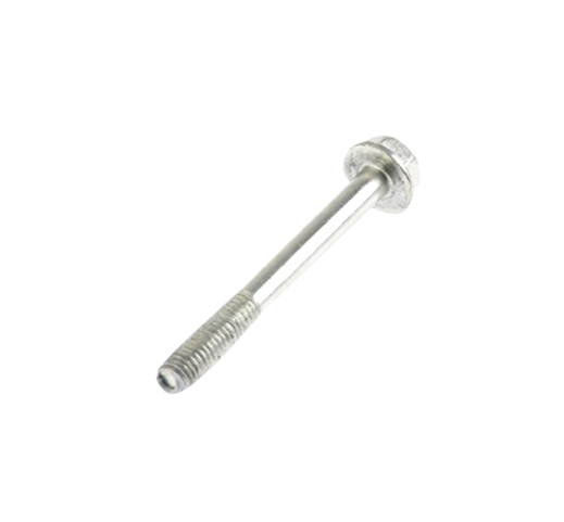 Tornillo M6X55 / M10060010