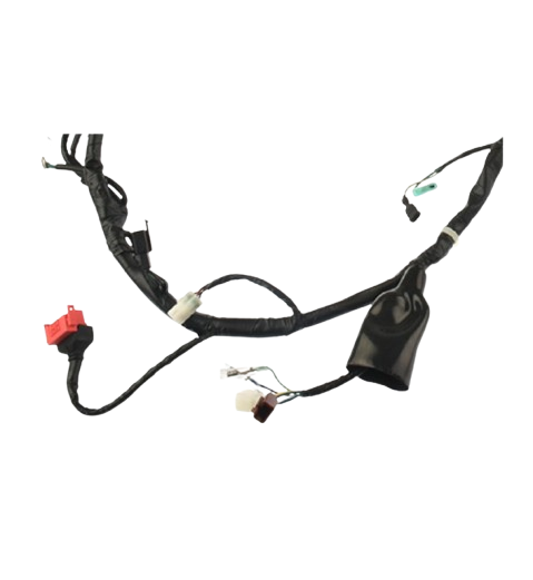 Arnes Principal / C06050017