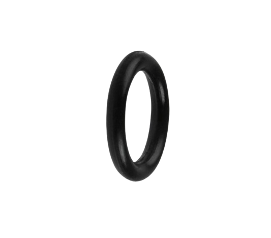 O-Ring / M10030007
