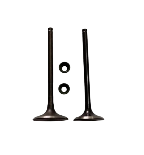 Kit de Válvulas Hunk 160R/ Hunk 150/ M04050004/M04050005/M04020003