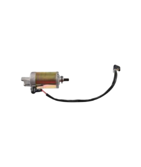 Motor Arranque/ E12010149